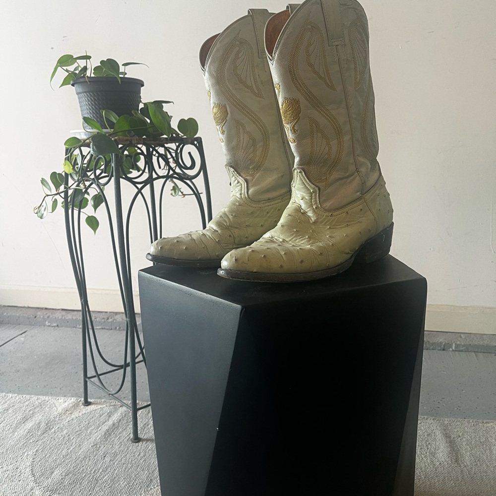 Vintage Ostrich Embossed Western Cowboy Boots Hecho en Mexico 🇲🇽 Size 11.5